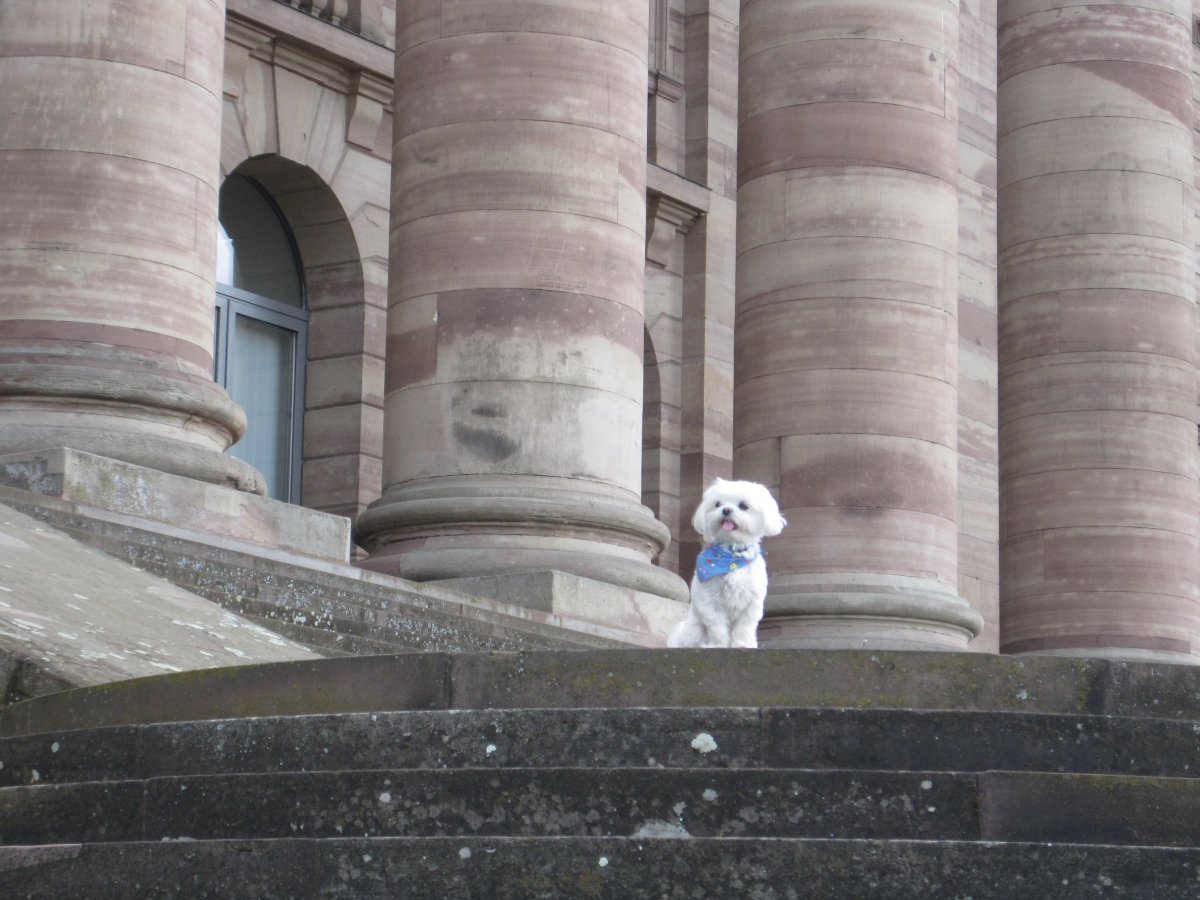 Paul in Kassel