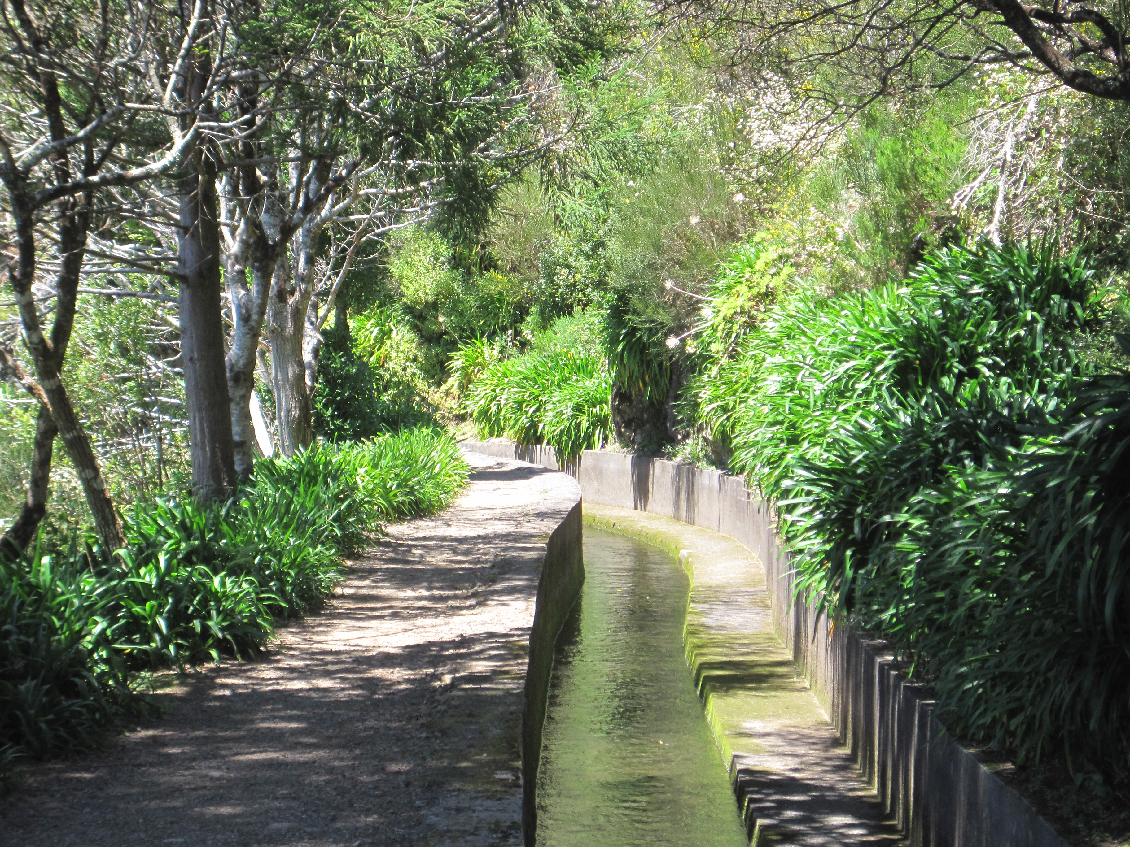 Madeira