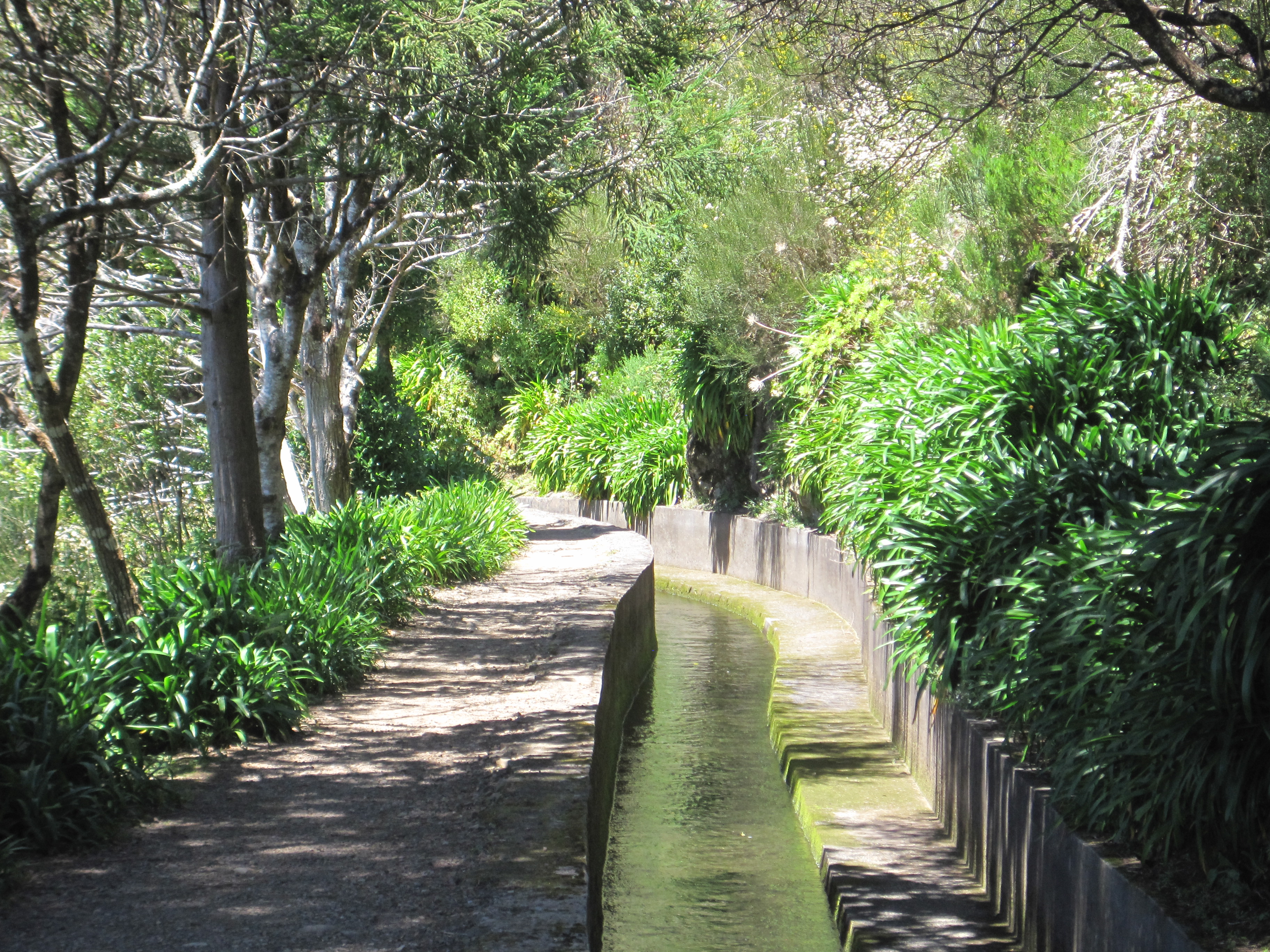 Madeira