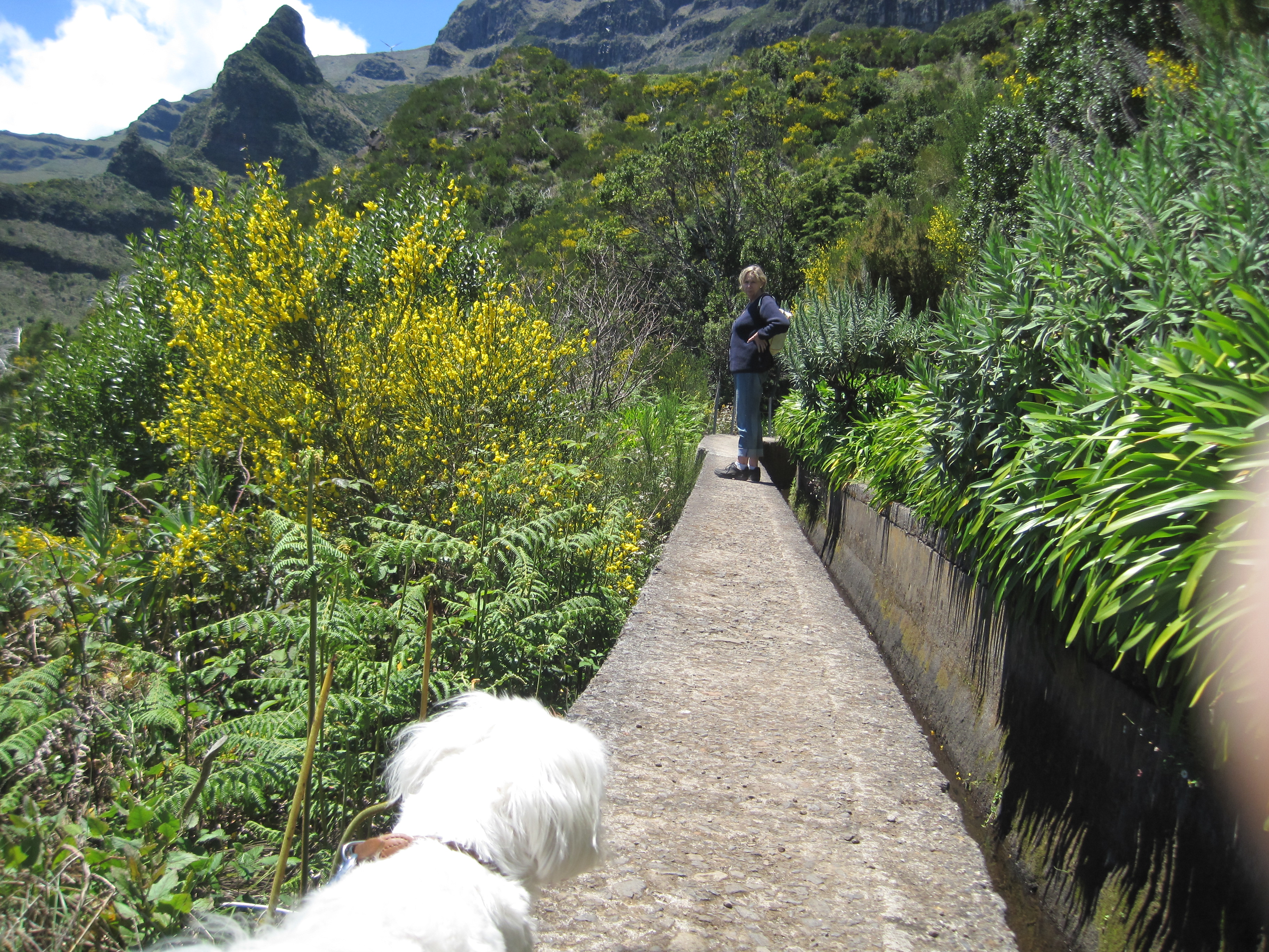 Madeira