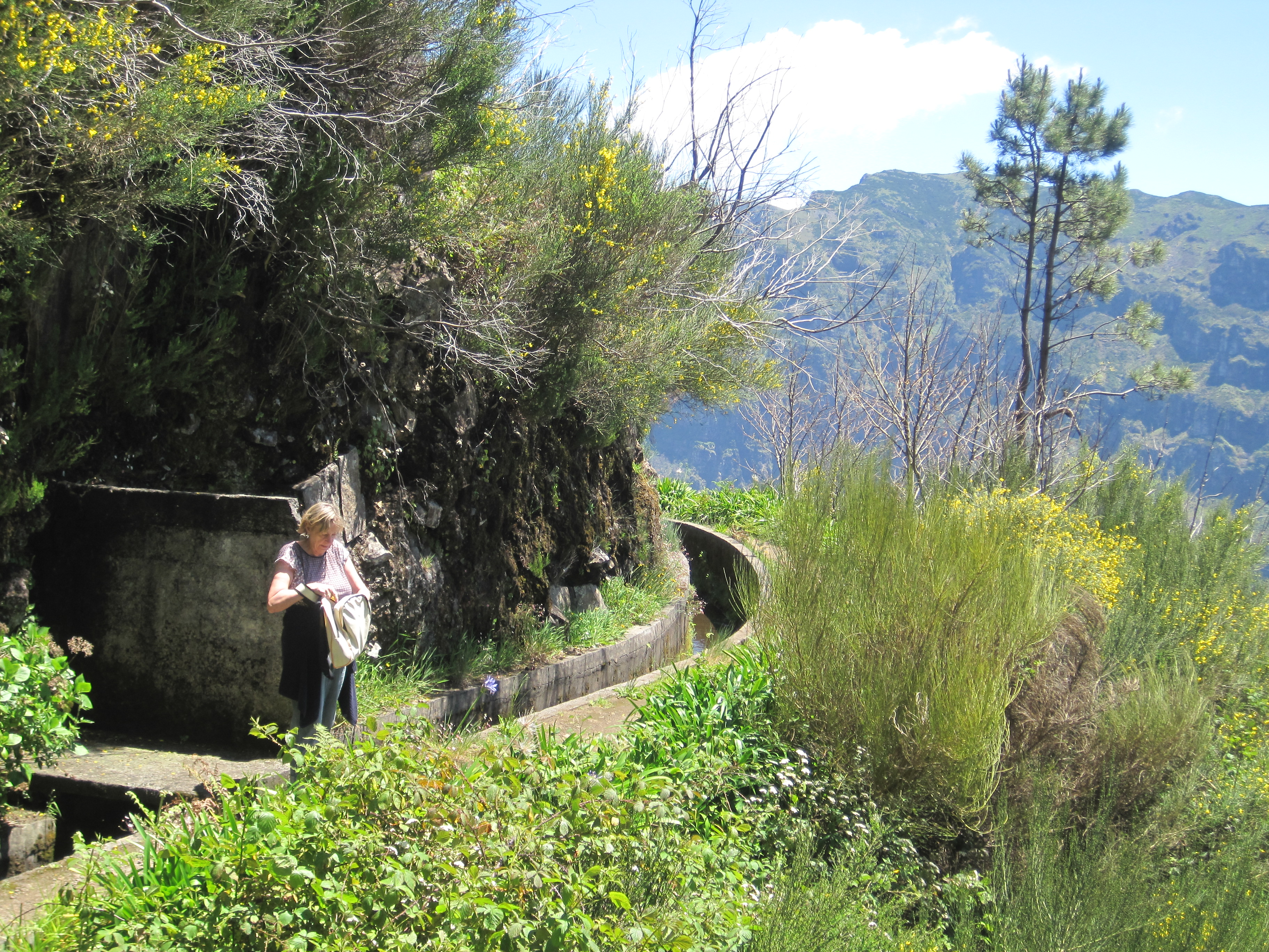 Madeira